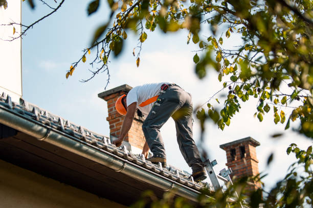 Best Commercial Roofing Services  in Salida, CO