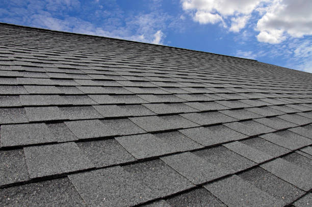 Best Roof Leak Repair  in Salida, CO